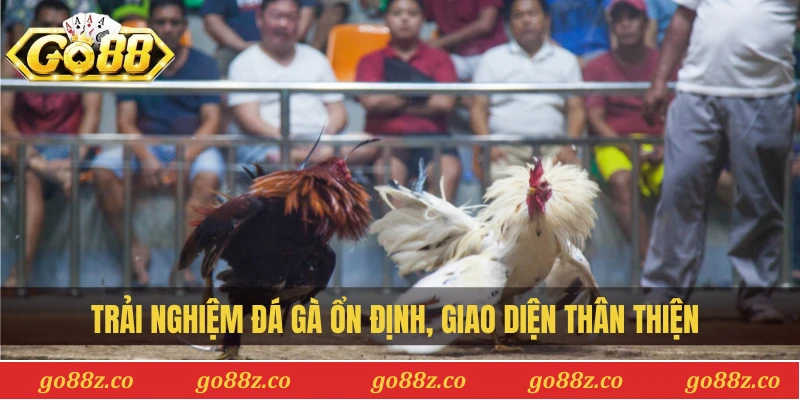 Trải nghiệm đá gà ổn định, giao diện thân thiện